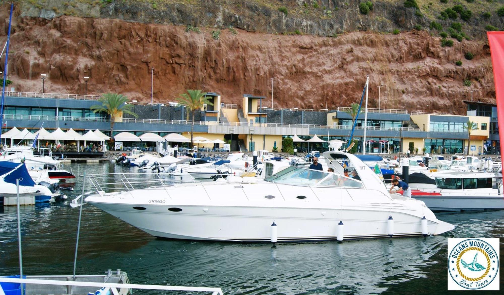 Casa Da Avo Irene Villa Funchal  Eksteriør bilde